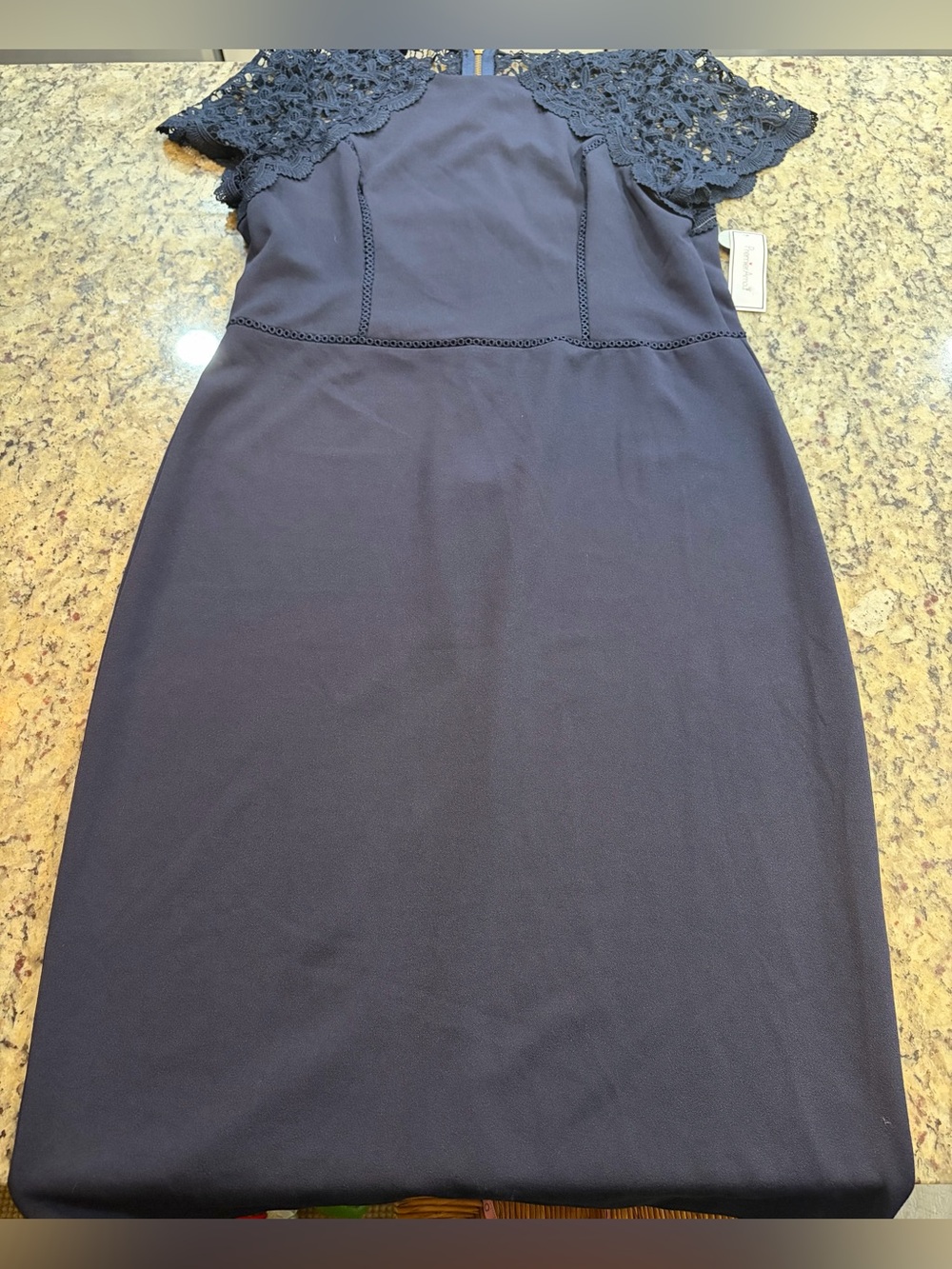 Navy Lace Cap Sleeve Midi Sheath Dress